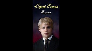 Пороша - Сергей Есенин (читает Павел Севостьянов) #short