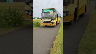 காலை ரதம் TN55... #shorts #bus