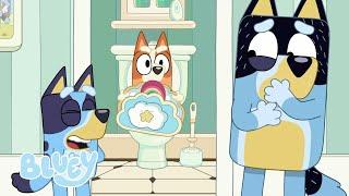 Hotel - episodio completo | Bluey Canal Oficial en Castellano