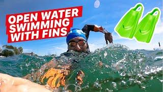 Open Water Swimming: DON'T DO THIS!