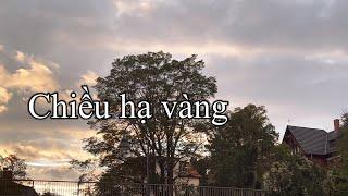 Chiều hạ vàng - St: Nguyễn bá Nghiêm. Vân Anh Lê Official.