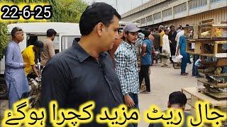 Birds Market Lalukhet Jaal Update Sunday Video 22-6-25 in Urdu