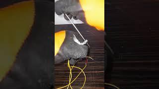 How to make a buzzer sound with a Dc gear775 Dc motor life hack with Buzzer