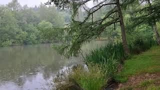 Consall Nature Reserve small pool part 1