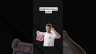 Свойство острых углов в прямоугольном треугольнике | #егэпрофильнаяматематика #егэ #профиль
