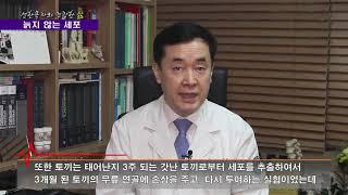 선한목자와 건강한 삶034 줄기세포 늙지 않는 세포 선한목자병원 이창우 병원장