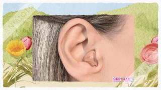 Geetham Hearing Aid Centre in Chennai   Hearing Aids