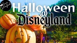 10 Quick tips 2024 Halloween season Disneyland Resort