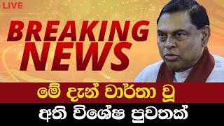 බැසිල් ගැන ලැබුණු විශේෂ පුවතක් | News Today | Breaking News| News Today Sinhala| Sinhala News