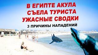 АКУЛА СЪЕЛА В ЕГИПТЕ! ЧТО СЛУЧИЛОСЬ? 3 ПРИЧИНЫ В ХУРГАДЕ ВСКРЫЛИСЬ! ЧТО ДЕЛАТЬ ПРИ НАПАДЕНИИ?