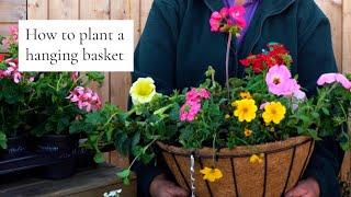 How to Plant a Summer Hanging Basket - The Pizza Method!