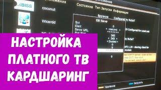 настройка КАРДШАРИНГА через плагин XcamClient.