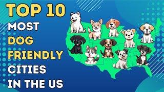 Top 10 Most Dog Friendly Cities in the US