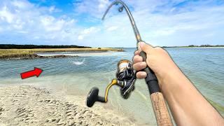 2 Days Saltwater Creek Fishing from shore! (Catch and Cook)