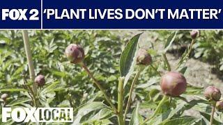 University of Michigan garden vandalized in possible Gaza protest