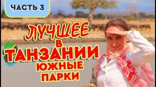 Туры в Танзанию  Южные парки Танзании: Микуми, Руаха, Ньерере и Удзунгва маунтинс