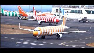 Madeira Airport Live Action LPMA Spotter ️ 31/10/2024