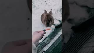 Увлекательная прогулка!!