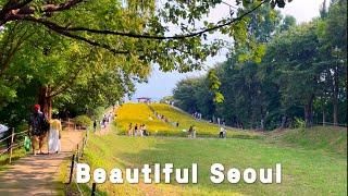 [4K]-지금 가면 후회하지 않을 서울의 올림픽공원ㅣ들꽃마루의 코스모스 밭이 장관ㅣOlympic Park