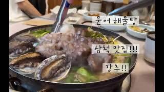 삼척 맛집 추천! 살아있는 문어가 통째로 들어가요!!!