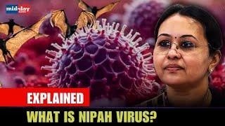 The Nipah Virus Situation In Kerala Explained