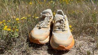 Trail Running Shoe Test: Salomon Glide Max TR