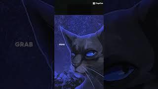 Crowfeather || #warriorcats #edit {@Cloudy-Editz