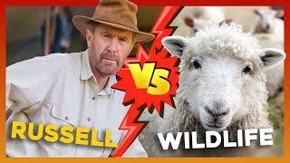  Russell Coight VS Every Single Animal  | All Aussie Adventures