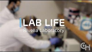 Lab Life: Rivella Laboratory