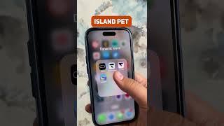 Dynamic island на iPhone | Что с ним можно делать?