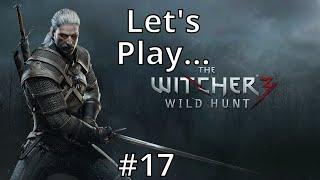 The Witcher 3 #17 - Tak teď už nevim co s timhle vlkodlakem