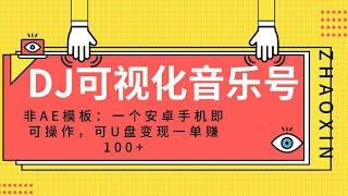 抖音蓝海刚需赛道副业思路，助眠音乐号变现，0基础也能轻松操作！绅白不白DJ可视化音乐号-非AE模板：一个安卓手机即可操作，可U盘变现一单赚100+