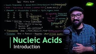 DNA Introduction | Basics | Functions | Biochemistry | Cell biology | Basic Science Series