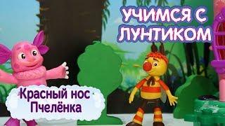 Учимся с Лунтиком  Красный нос Пчелёнка  Новая серия