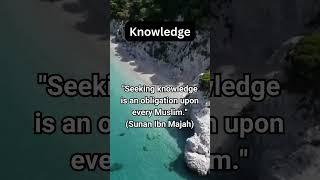 Seek Knowledge  - Daily islamic reminder
