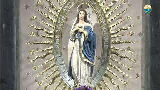 Fourth Day of Novena Mass to the Immaculate Conception - December 03, 2024 (12:10pm)