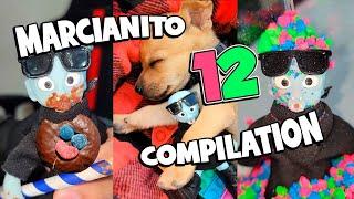  MARCIANITO TEMPORADA 12  (En Orden) COMPILATION #shorts #funny #viral #serie #animals #humor