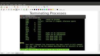 016 Terminating Processes