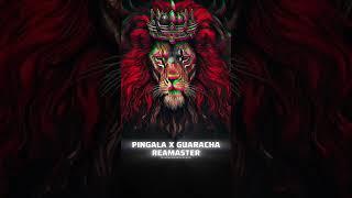 PINGALA x GUARACHA  TRANCE | DJ MIX 2025 #trance#remix #newsoundcheckmix