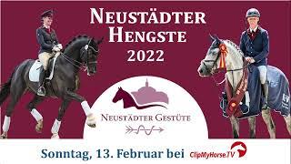 Trailer Neustädter Online-Hengstpräsentation 2022