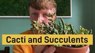 Cactus and Succulent HAUL!