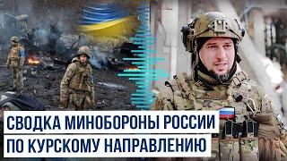 Минобороны России о потерях ВСУ и ситуации на курском фронте