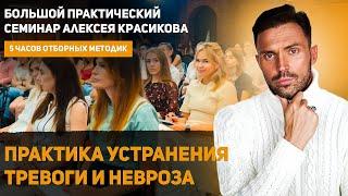 Практика устранения тревоги и невроза. Большой семинар Алексея Красикова