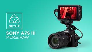 Sony Alpha 7S III & NINJA V  - ProRes RAW setup guide