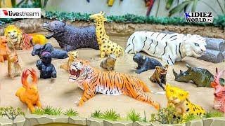 Forest Animals Survival in the Mud | Muddy Mishaps Wildlife Struggles