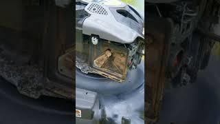 Easy Starting Mower Trick #shorts