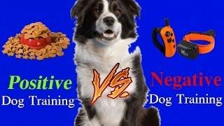 WARNING! Extremely Controversial!  Positive Dog Training vs Negative Dog Training!