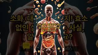 효소없인 못살아요 #레드파인tv #chatgpt #건강관리 #봉숭아학당 #shorts #lcai #ksta #바디플러스명작