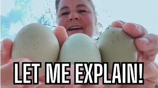 Let Me Explain! Do You Keep Chickens? Typical Day On The Farm | Farm Life Vlog