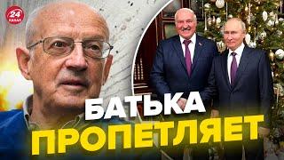 ️ПИОНТКОВСКИЙ о Путине в Беларуси: Итоги нас позабавят @Andrei_Piontkovsky